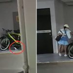 Community cat cruelty in Bukit Batok East
