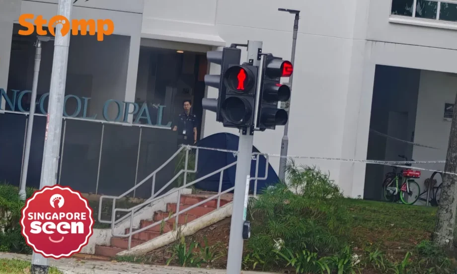 Woman found dead at Punggol after falling from a height