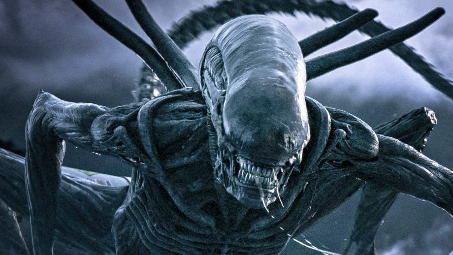 Covenant Follow-Up Adds Prisoners Writer Covenant Follow-Up Adds Prisoners Writer