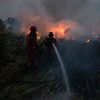 Prabowo steps up Indonesia’s firefighting efforts; foreign offers of help not discussed