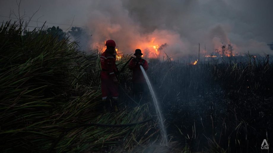 Prabowo steps up Indonesia’s firefighting efforts; foreign offers of help not discussed Prabowo steps up Indonesia’s firefighting efforts; foreign offers of help not discussed