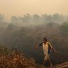 S’pore palm oil firms named in Greenpeace fire report