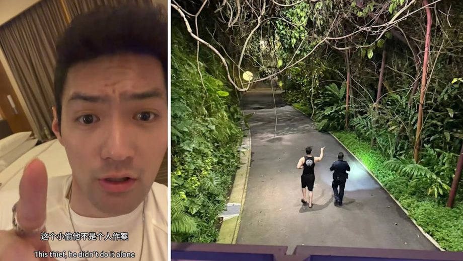 Chinese Tourist’s LV Bag Stolen At Gardens By The Bay, Chases Down Suspected Thief & Gets It Back