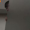 Boy peeks over toilet cubicle at Oasis Terraces
