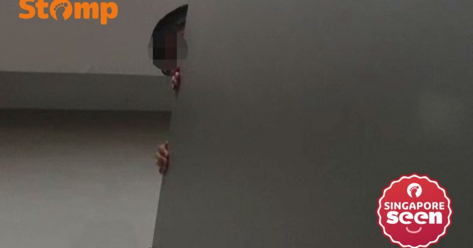 Boy peeks over toilet cubicle at Oasis Terraces