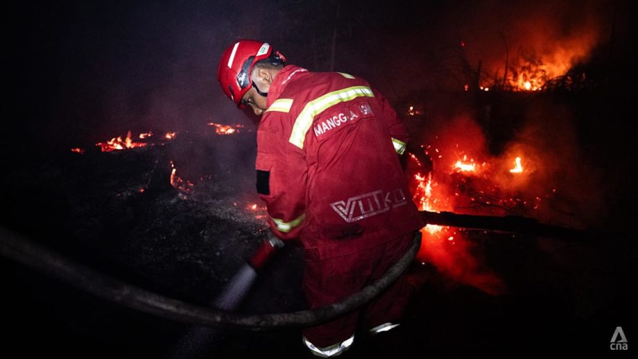 Indonesia to assess foreign firefighting aid offers, hopes to extinguish blazes within a month Indonesia to assess foreign firefighting aid offers, hopes to extinguish blazes within a month