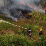 Indonesia holds off on foreign help to fight forest fires, says it can manage on its own