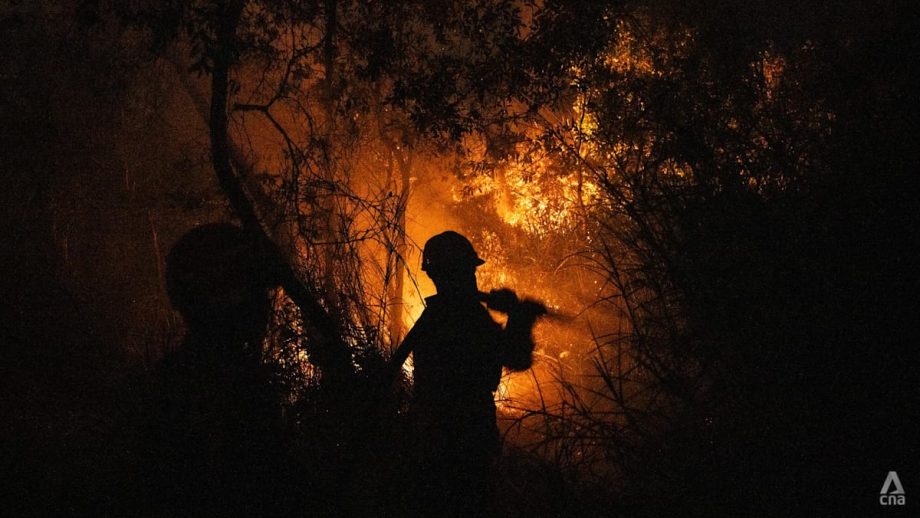 Indonesia names over 200 people, nine firms as suspects over forest fires as transboundary haze worsens