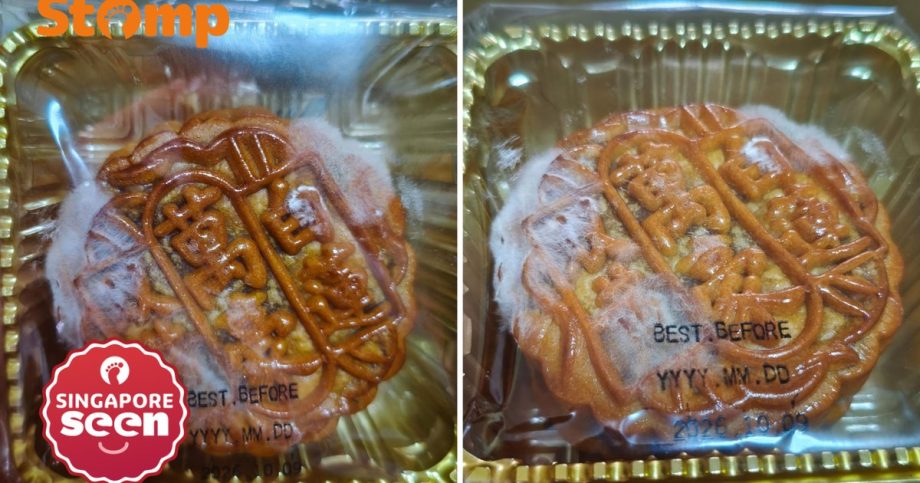 Hotel mooncakes turn mouldy before expiry date Hotel mooncakes turn mouldy before expiry date