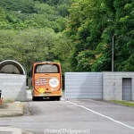 SAFTI Military Institute stops bus tours