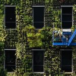 Green wall of Singapore | The Straits Times