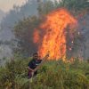 Oil palm investors must demand haze accountability