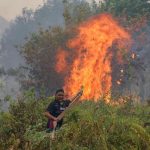 Oil palm investors must demand haze accountability