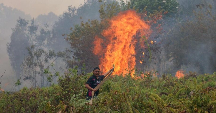 Oil palm investors must demand haze accountability