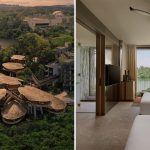 Mandai Rainforest Resort Marks First Anniversary With Up to 45% OFF Stays From 9 In November