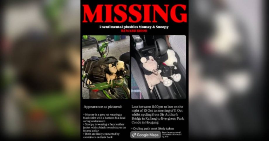 Woman offers ,000 reward for 2 lost plushies of ‘great sentimental value’, Singapore News Woman offers ,000 reward for 2 lost plushies of ‘great sentimental value’, Singapore News