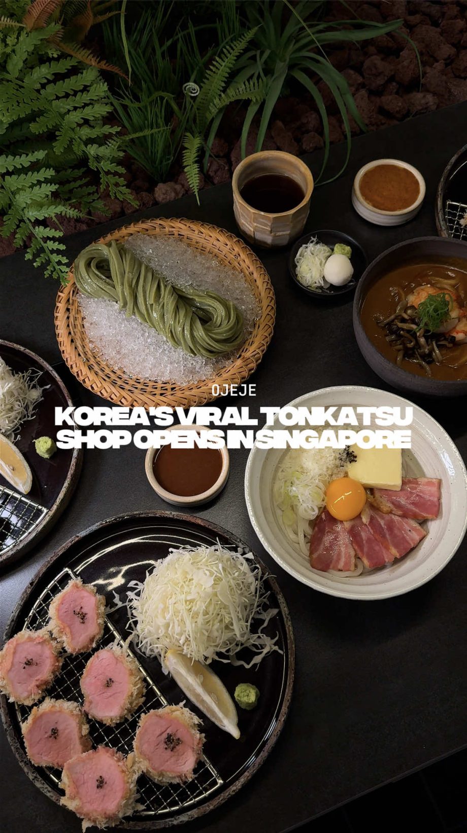 @onericeplease One of Seoul’s most popular tonkatsu and udon shops have opened t…