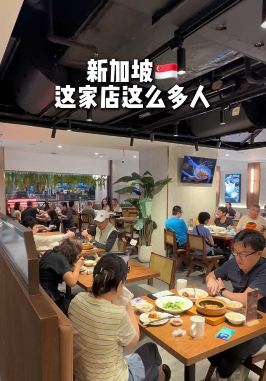 @starry.qiuqiu 在Suntec City好吃的啫啫煲1 for 1 #新加坡美食 #新加坡生活 #sgfoodie #sglife #上热门  …