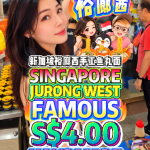 @bibipew SINGAPORE FAMOUS JURONG WEST  HANDMADE FISHBALL NOODLES?! HUGE BOWL W…