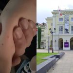 Toddler bitten by snake outside Asian Civilisations Museum, taken to hospital, Singapore News