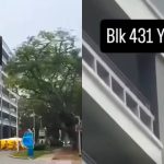 Woman, 26, dies after falling from height at Yishun HDB block, Singapore News